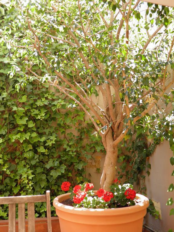 Suitur Courtyard Apartment Barcelona Eksteriør billede